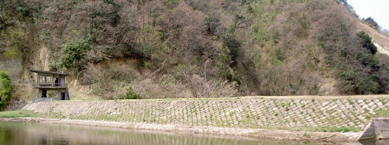 右岸上流側から堤体