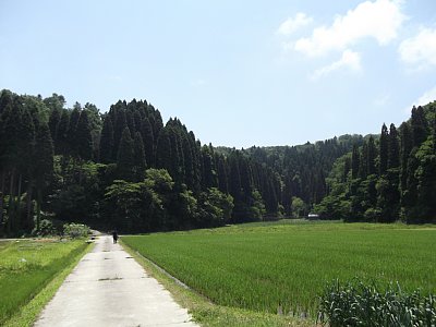 惣領砦全景