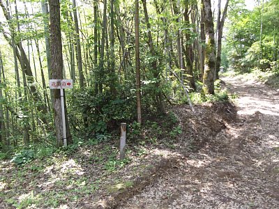 遊歩道の看板があり、ベンチもあるので休憩します