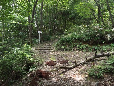 道は険しく狭くなります