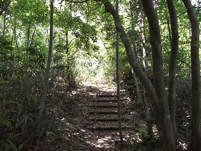 連続的な堀切は狩野氏の築城手法の特徴です