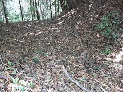 空堀の底がかなり広い