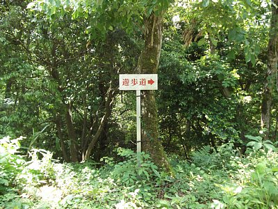 遊歩道の看板がありますが・・・