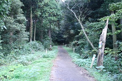 ここからの登りはかなりの急勾配です