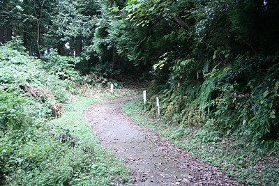 登山道はかなり急です