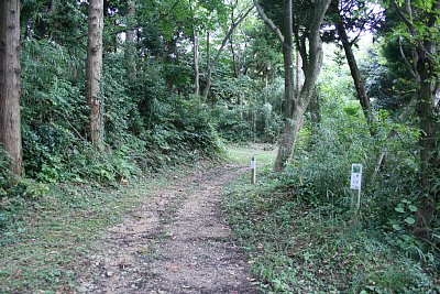 上りが延々と続きます