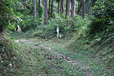 急な上り道が続きます