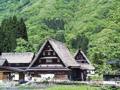 菅沼合掌集落の様子