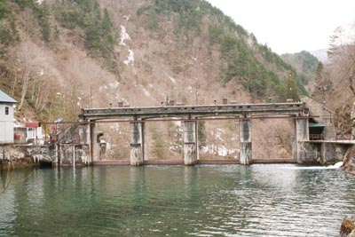 上流から堤体を見る