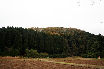 庄ノ城東側