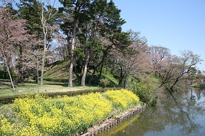 内堀と本丸南側の土塁