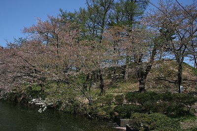 土橋から土塁を見る