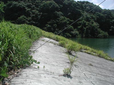 高戸ダム堤体上流側
