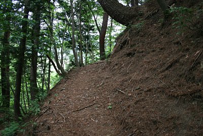 登り道は極めて狭く急です