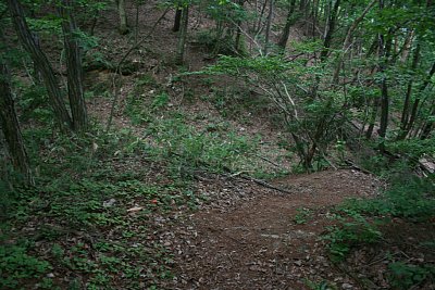 主郭への通路の途中にある大堀切