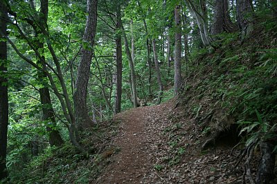 入口からの通路は狭いのです