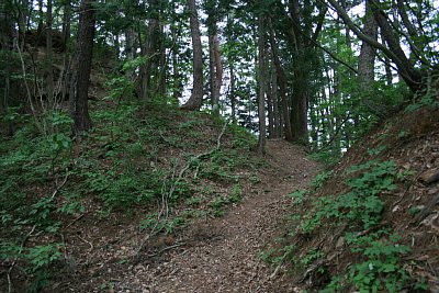 入口からの通路は狭いのです