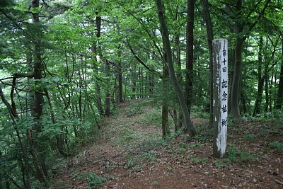 小さな郭が何段にも連なっています