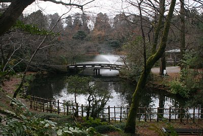 小竹藪から見た一の橋と中之島