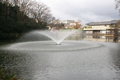 中之島から見た西外濠の噴水