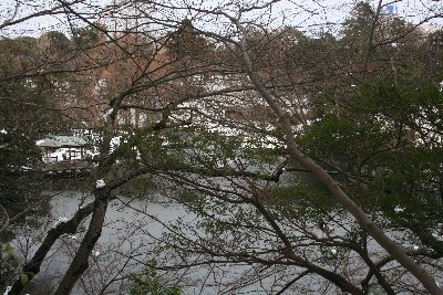 本丸から見た中之島