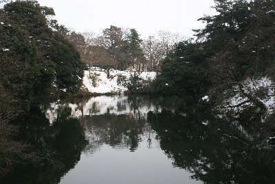 小竹藪から見た北外濠