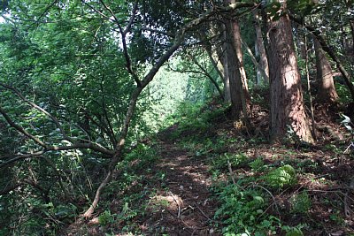 狭く急な登城道を登っていきます