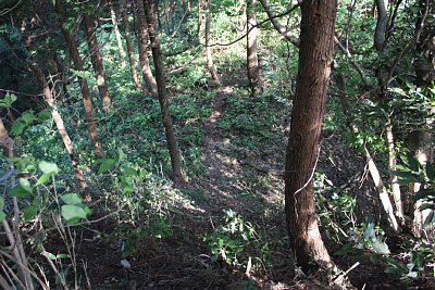 主郭の南側には深い堀切があります