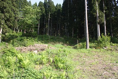 町ヶ平