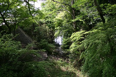 大手口南側の水堀