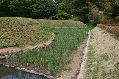 復元された惣堀跡北側