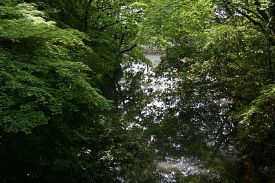 西曲輪と本曲輪の間の水堀