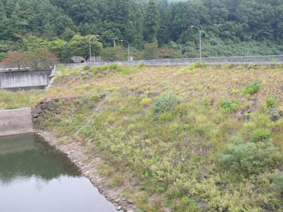 右岸上流から堤体を見る