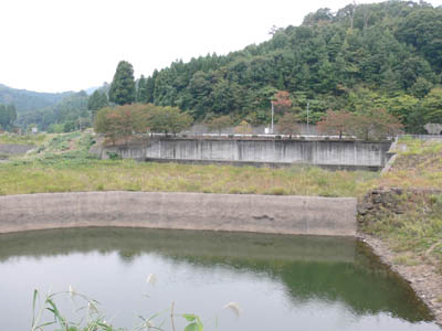 右岸から対岸を見る
