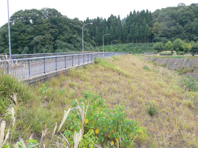 左岸から堤体を見る