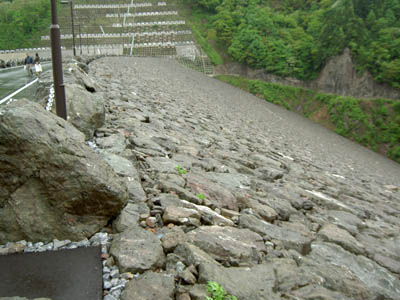 右岸から堤体下流側を見る