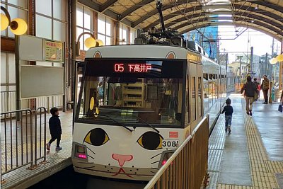 玉電110周年幸運の招き猫