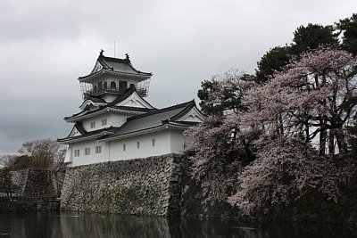桜咲く富山城天守