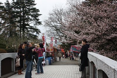 橋の上では写真撮影