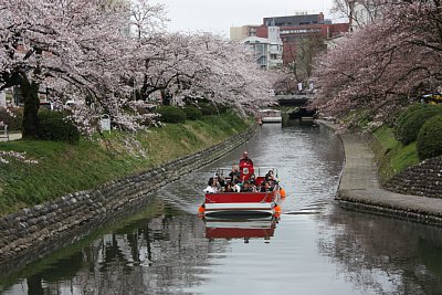 松川を遊覧船が走ります