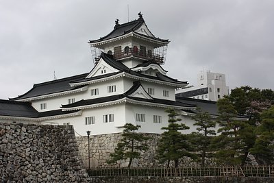 富山城にも春が来ました