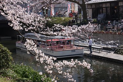 松川べりの遊覧船