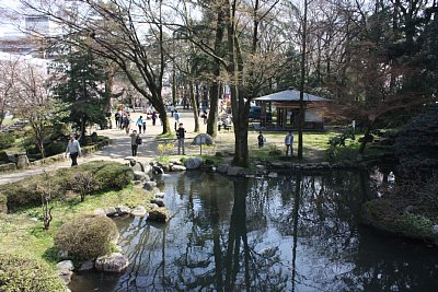 本丸北側の水堀・・・ではなく池ですね