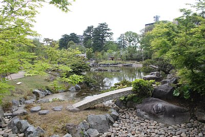 日本庭園の池です