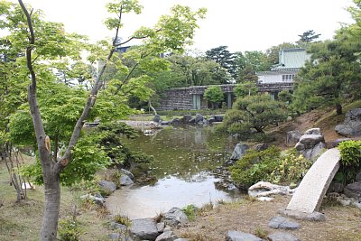 日本庭園の池です
