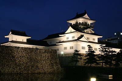 南西側からみた富山城天守ライトアップ