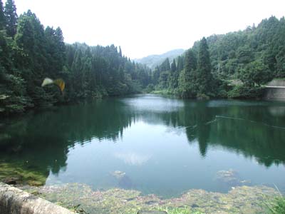 つつじが池全景