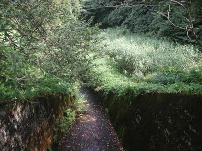 放流路