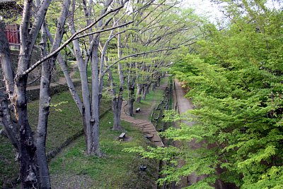 上田城外堀は空堀になっています