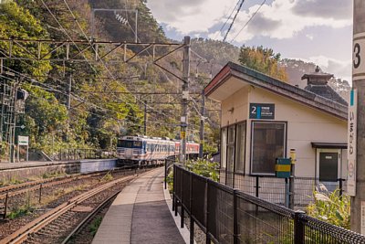 2�Ԑ��ҍ����ƃL�n40�n�C����